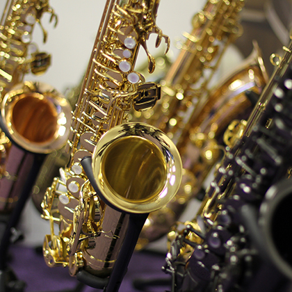 Choose your Trevor James Saxophone